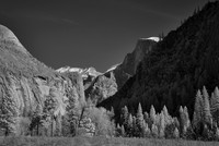 2026-02-01 13.17.36 (DSC03246) 1