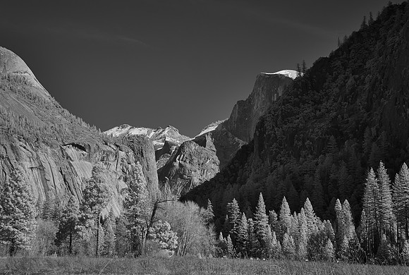 2026-02-01 13.17.36 (DSC03246) 1