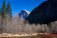 2026-02-01 13.36.31 (DSC05208)