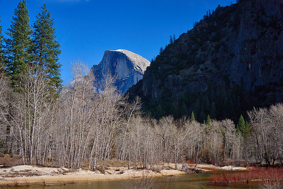 2026-02-01 13.36.31 (DSC05208)