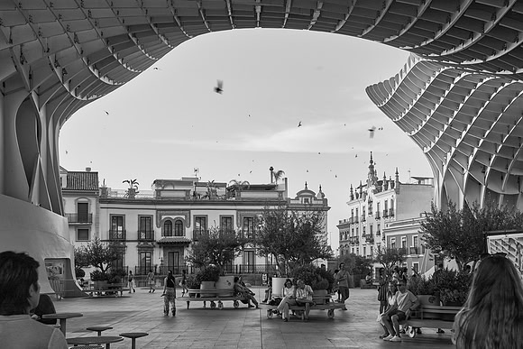 2026-06-11 21.16.36 (SON00354)