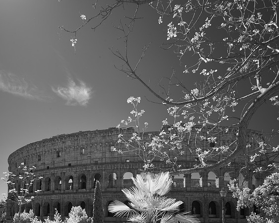 2026-04-06 00.57.10 (DSC03313)