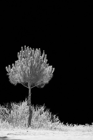 2026-06-13 09.29.07 (DSC01530)