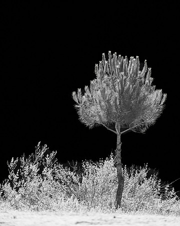 2026-06-13 09.29.08 (DSC01532)
