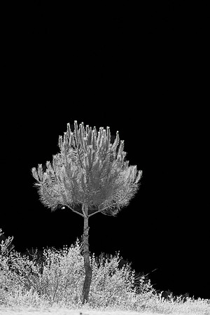 2026-06-13 09.29.06 (DSC01524)