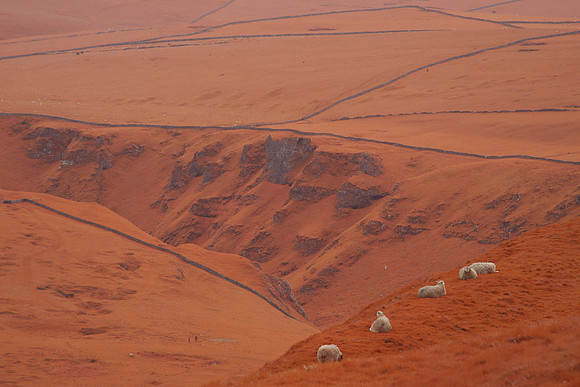 2023-05-06 12.37.12 (DSC01349)