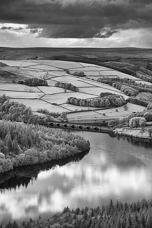 2023-05-07 19.31.37 (DSC01484)
