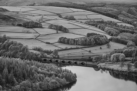 2023-05-07 20.37.41 (DSC01500)