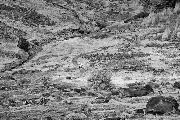 2023-05-07 13.33.12 (DSC01459)