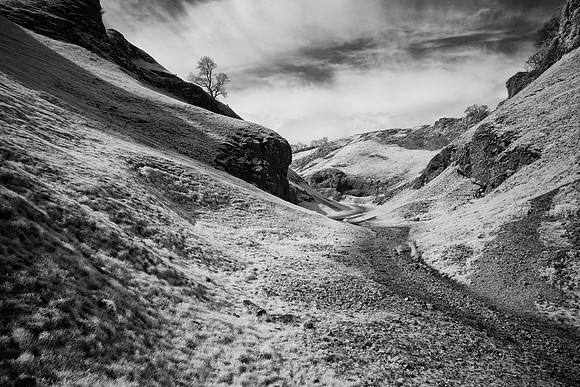 2023-05-07 10.05.01 (DSC01373)