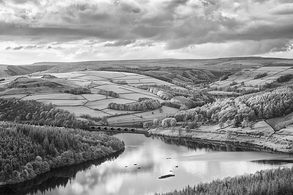 2023-05-07 19.37.22 (DSC01492)