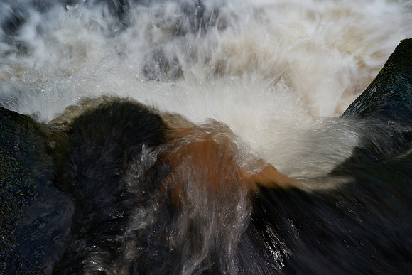 2023-05-07 16.10.31 (DSC00685)