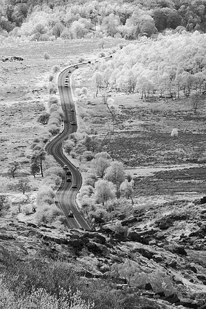 2023-05-07 13.31.22 (DSC01457)