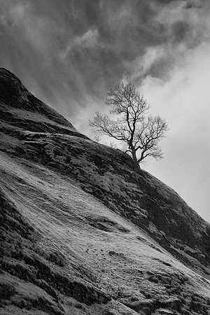2023-05-07 10.46.02 (DSC01415)