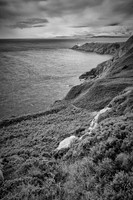 2025-07 Dublin & Howth