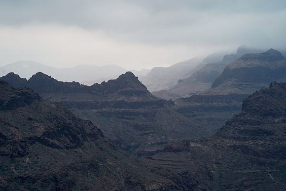 2023-08-07 20.23.40 (DSC02155)