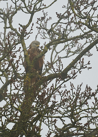 2025-03-01 09.23.43 (DSC00584)
