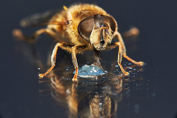 2020-04-09 at 08-14-45