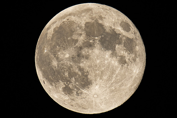 2024-10-17 20.09.15 (DSC06118)