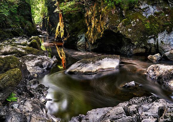 2024-05-12 11.48.21 (DSC03743)