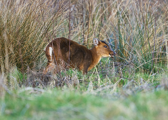2025-03-01 16.16.10 (DSC01501)